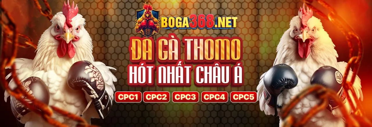 Công cụ tự đánh giá của DH88