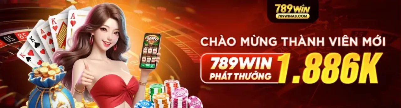 Quy trình rút tiền từ DH88