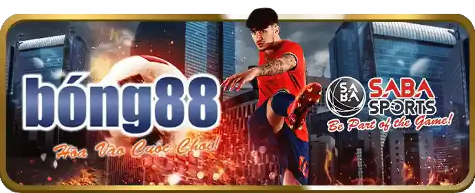 Các loại kèo cược phổ biến tại DH88